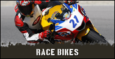 Airbrush graphics and paint for track race bikes