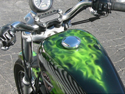 Green True Fire airbrushed cruiser bike