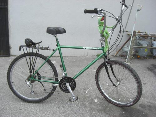 Kermit Diamondback Cruiser Bicycle