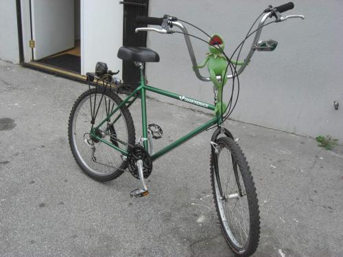 Kermit Diamondback Cruiser Bicycle