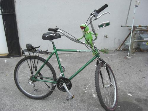 Kermit Diamondback Cruiser Bicycle