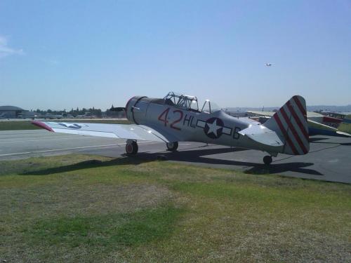 Condor Airplane Graphics