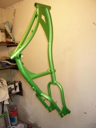 Green Fat Wheel Bicycle Custom Paint